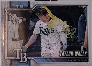Taylor Walls