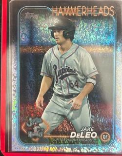 Jake DeLeo