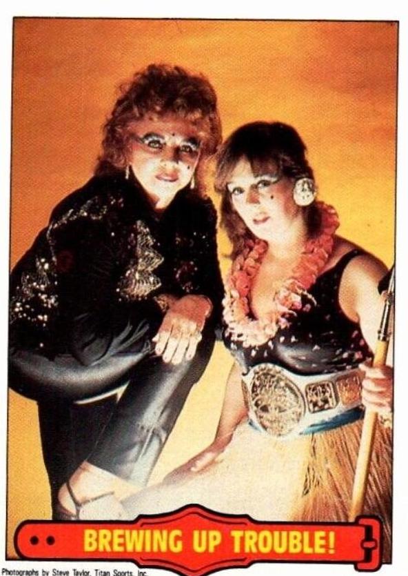 Brewing Up Trouble #19 Wrestling Cards 1985 O Pee Chee WWF Series 2