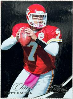 Matt Cassel