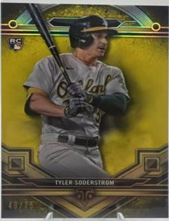 Tyler Soderstrom