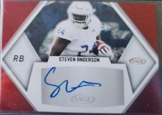 Steven Anderson