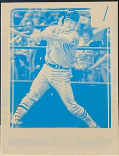 Carl Yastrzemski