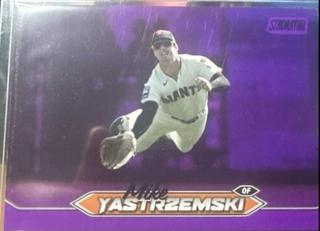 Mike Yastrzemski