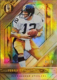 Terry Bradshaw