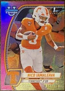 Nico Iamaleava