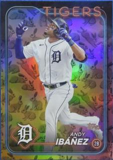 Andy Ibanez