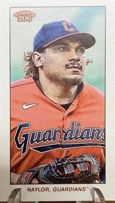 Josh Naylor [American Beauty Back]