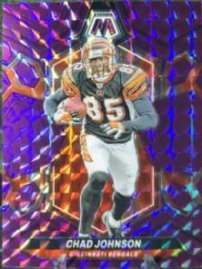 Chad Johnson
