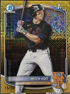 Mitch Voit