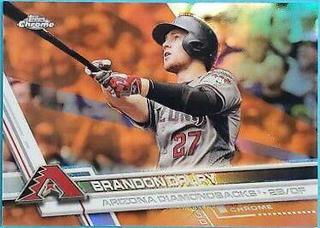 Brandon Drury