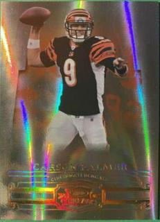 Carson Palmer