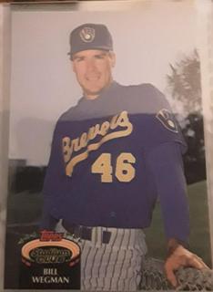 Bill Wegman