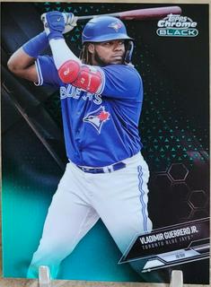Vladimir Guerrero Jr.