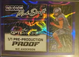 Nic Anderson