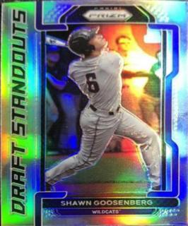 Shawn Goosenberg