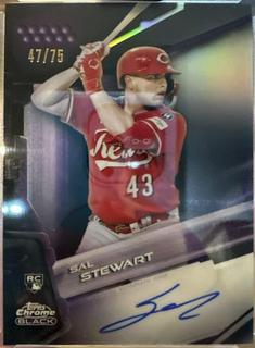 Sal Stewart