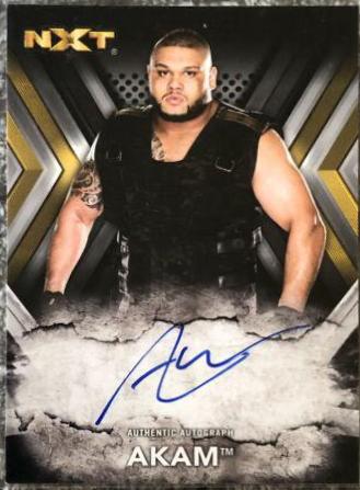 Akam #RA-AK Wrestling Cards 2017 Topps WWE NXT Autographs