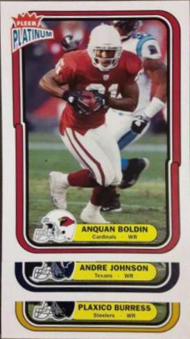 Anquan Boldin #81