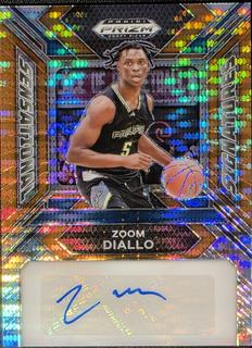 Zoom Diallo