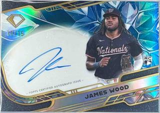 James Wood