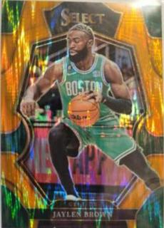 Jaylen Brown