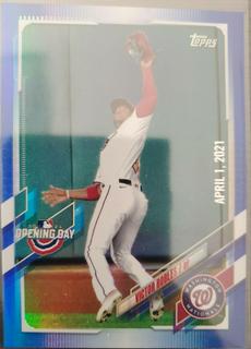 Victor Robles