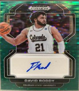 David Roddy