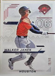 Walker Janek