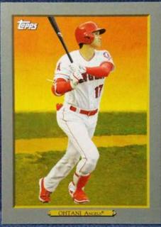 Shohei Ohtani