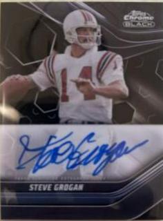 Steve Grogan