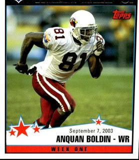 Anquan Boldin