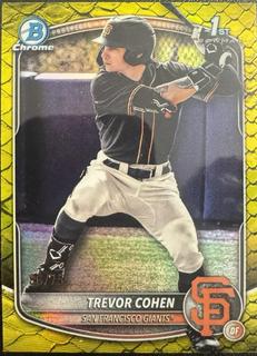 Trevor Cohen
