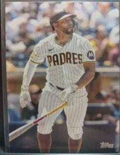 Xander Bogaerts