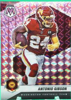 Antonio Gibson