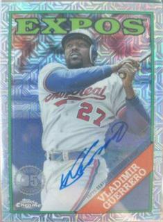 Vladimir Guerrero