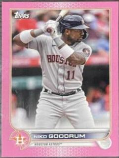 Niko Goodrum