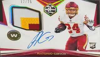 Antonio Gibson