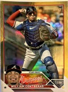 William Contreras