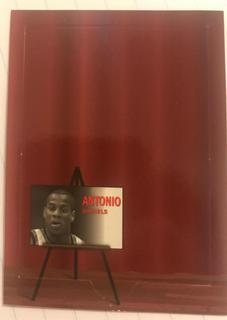 Antonio Daniels