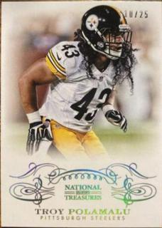 Troy Polamalu