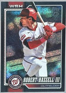 Robert Hassell III