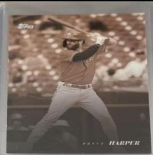 Bryce Harper