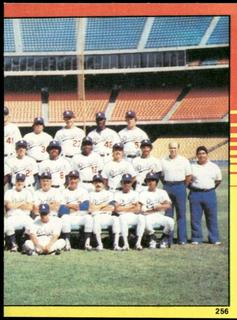 1981 World Champions