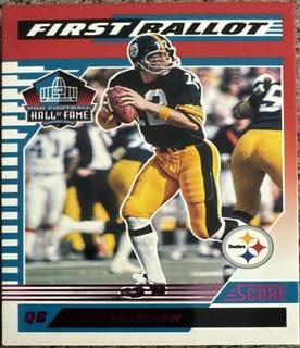 Terry Bradshaw