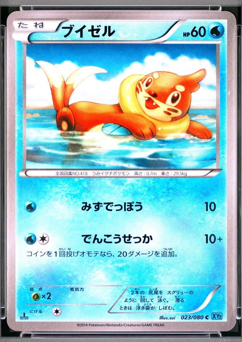 Buizel