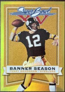 Terry Bradshaw