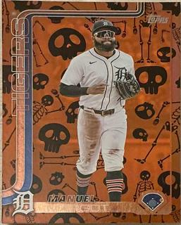 Manuel Margot