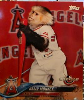 Rally Monkey