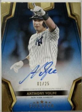 Anthony Volpe  [Blue] #FSA-AV